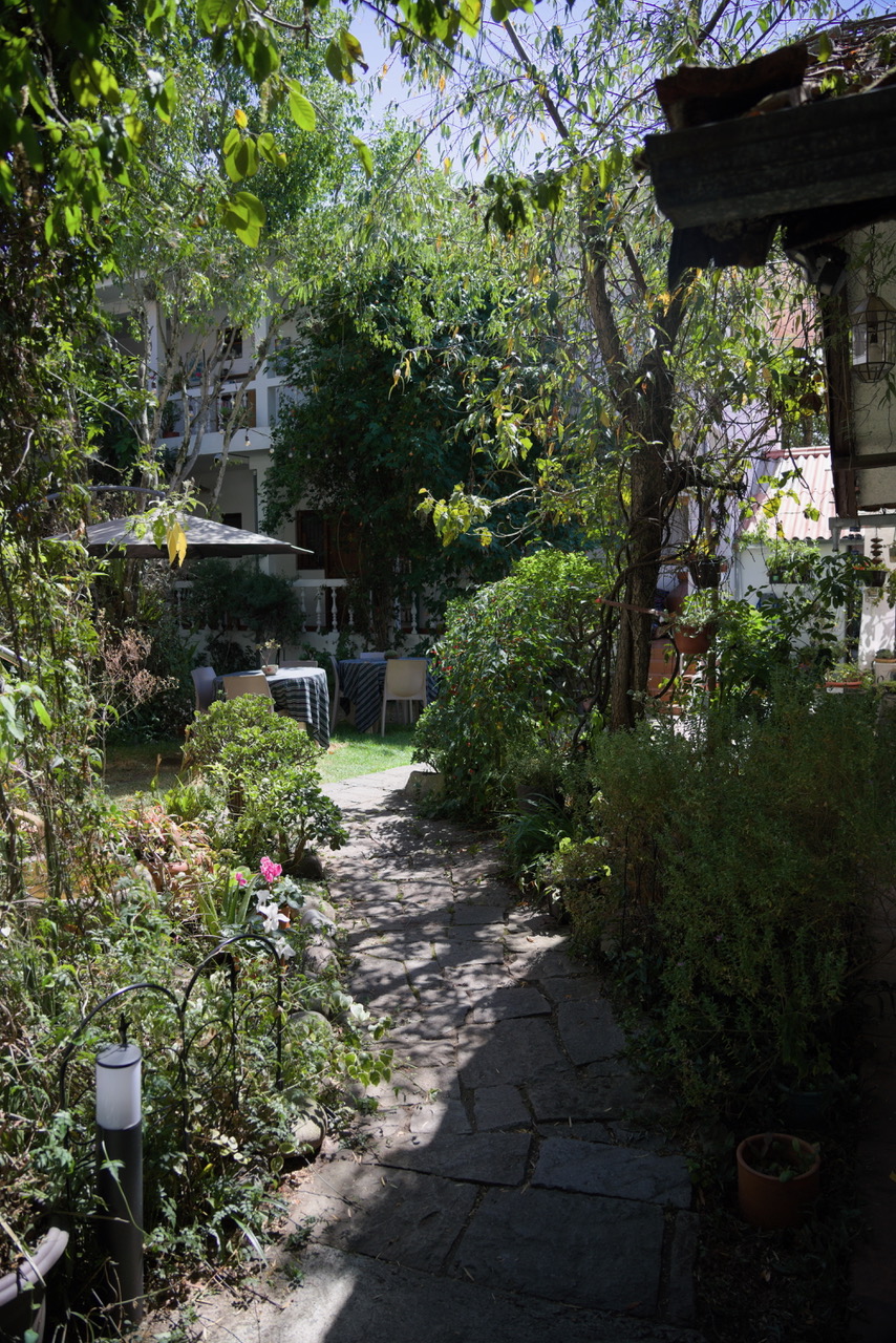 Stone path through the garden at Otorongo